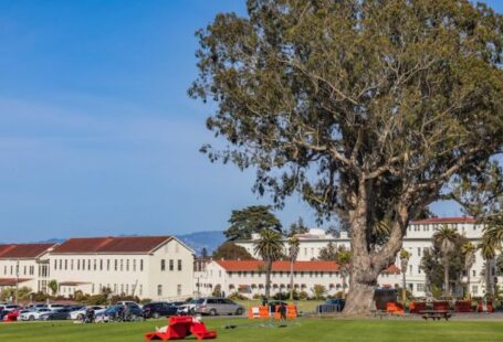 Green Spaces - Houses in Suburban Residential District